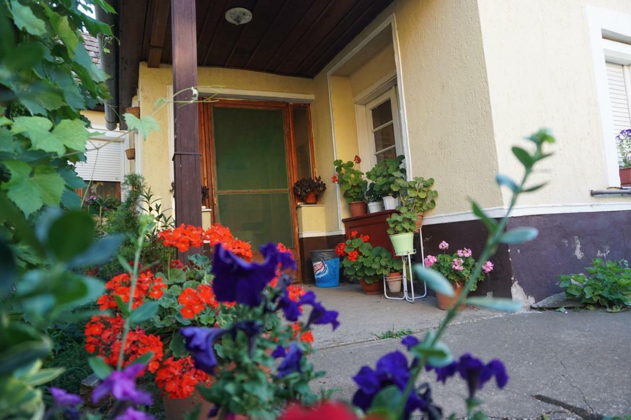 Piri Vendeghaz Hotel Hajduboszormeny Luaran gambar